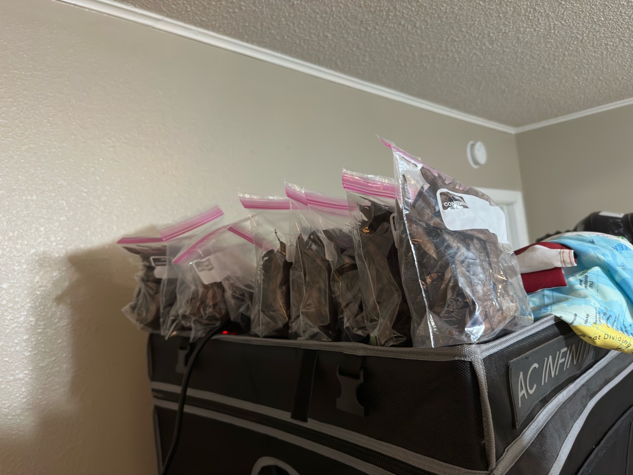 Collected redbud pods stored in bags