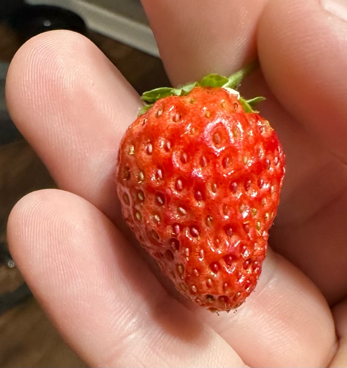 Strawberry from the indoor growing project